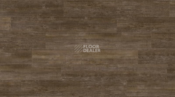 Кварцвиниловые полы Gerflor Creation 70 0804 Solid Glam Sherwood фото 1 | FLOORDEALER
